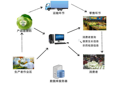 農產品溯源系統的核心功能與信息系統集成服務深度解析
